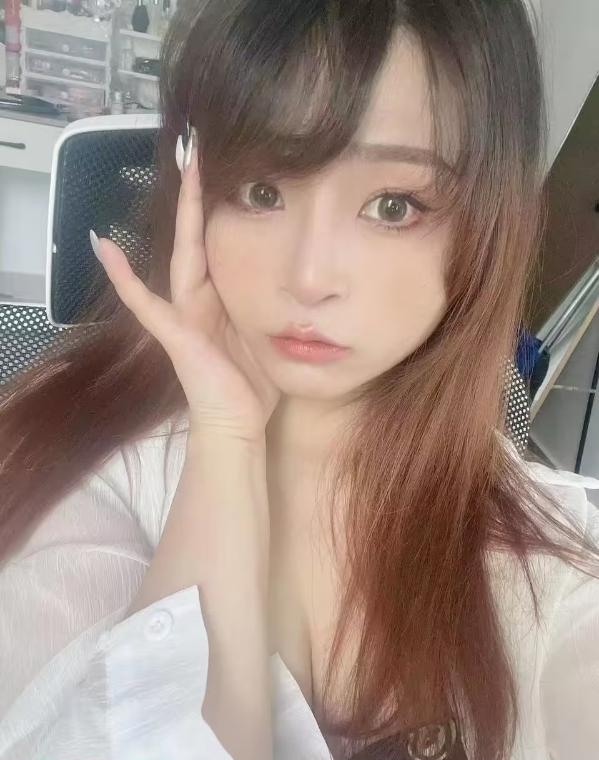 上城兔子