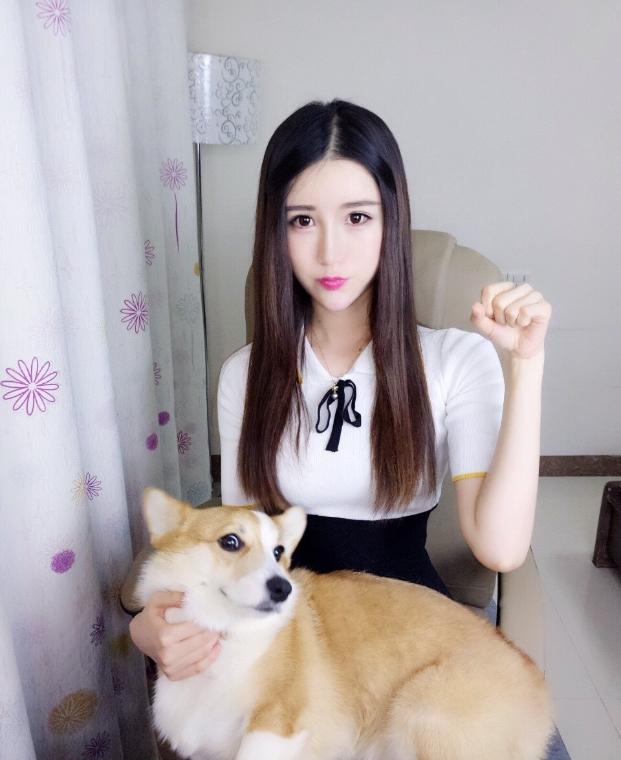 上海小猫