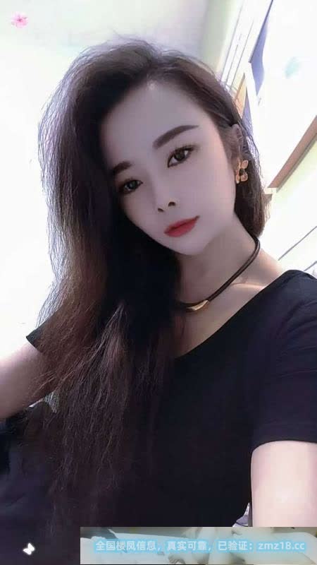 包河小夜猫