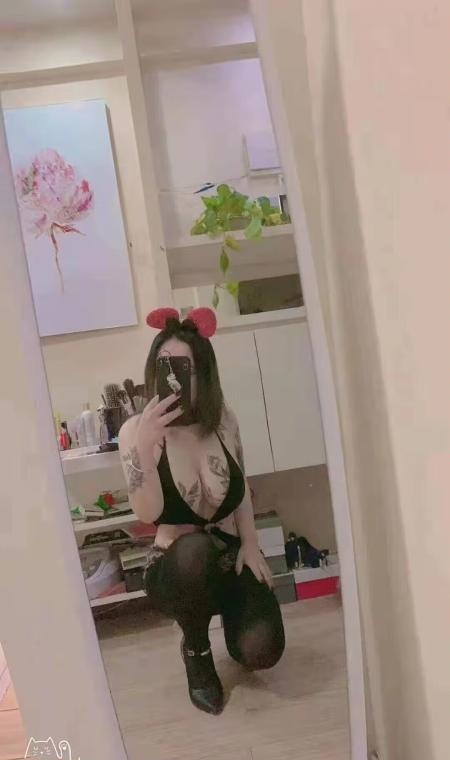 南昌小野猫
