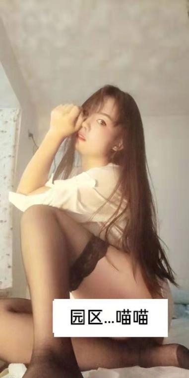 园区小妖精