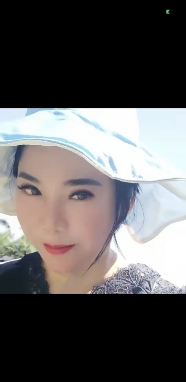 大芬蝴蝶