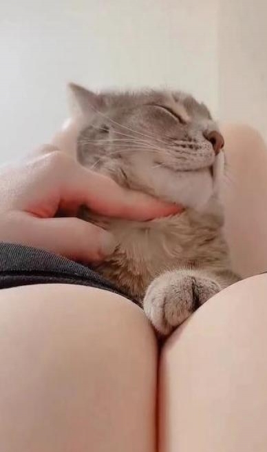 巨乳少妇f杯