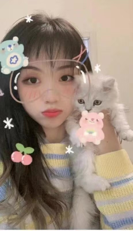 年轻的婉清