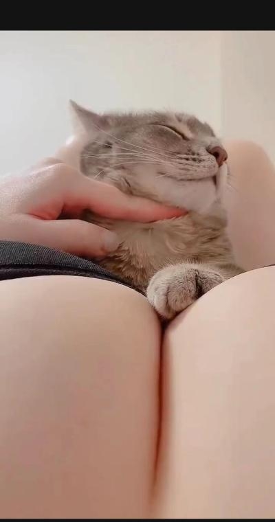 微笑大奶