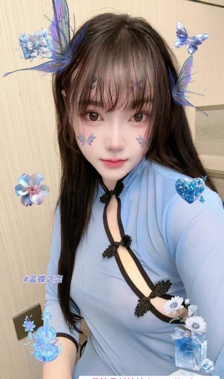 普陀小野猫