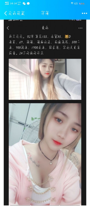 杨家湾小不点