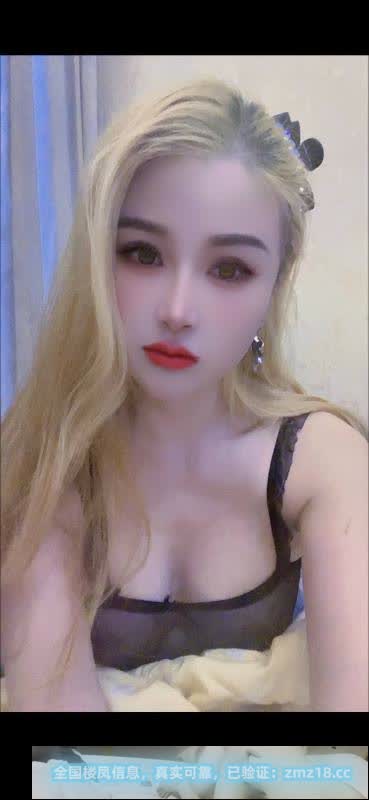 汉阳三通名凤午夜