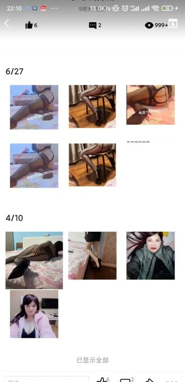 沙区白雪性价比