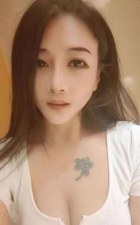 河东漂亮炮架子