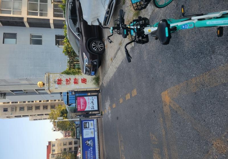 河东龙女