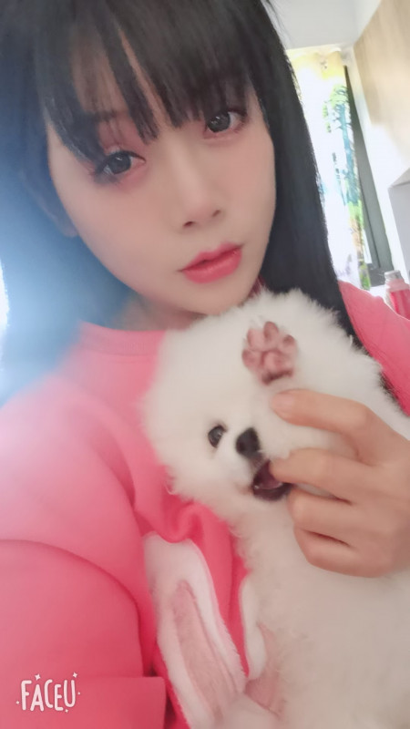 秦淮如意