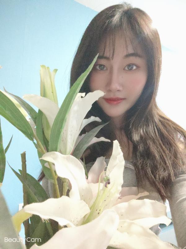 美女茶茶