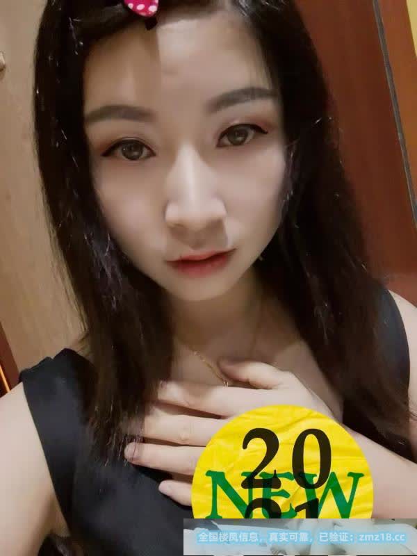 西乡性价比环保小白