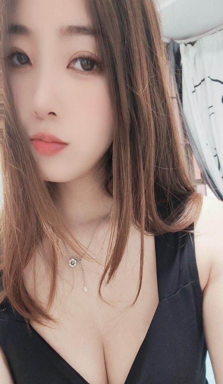 龙华小猫咪