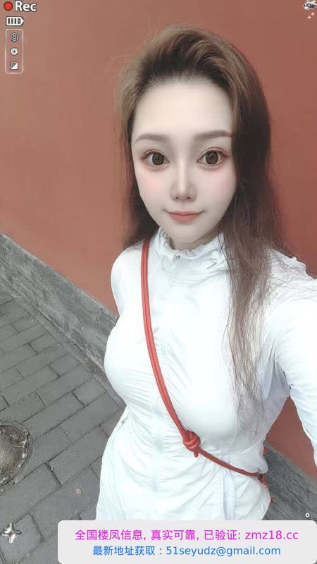 大蜜中小体验