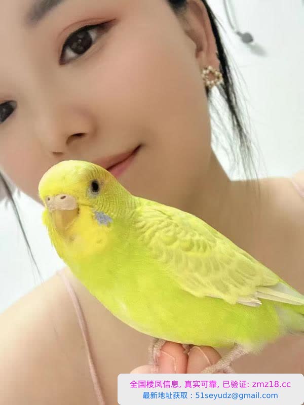 江岸个人半套小姐姐
