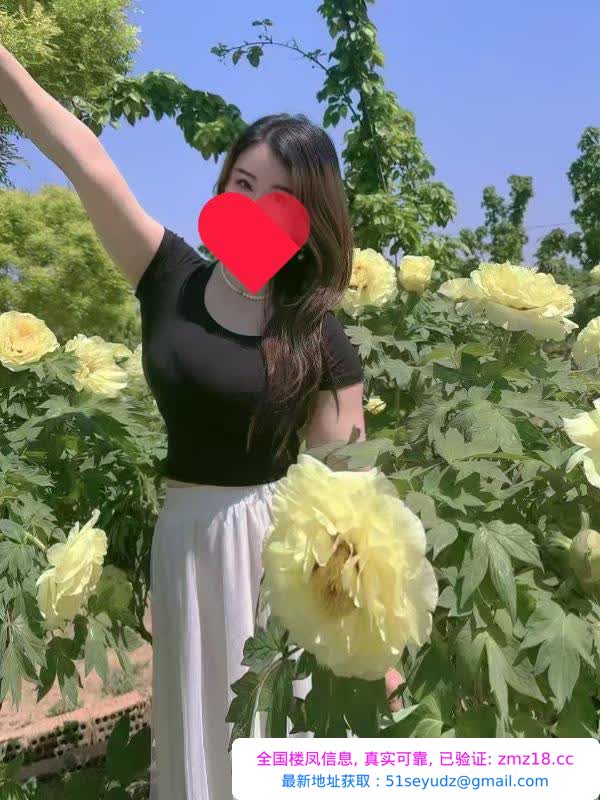 包河风骚御姐