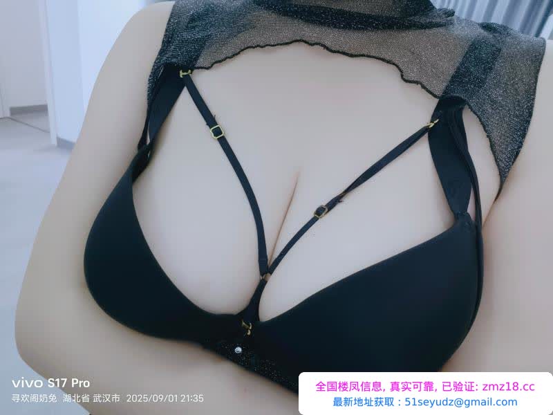武汉奶兔