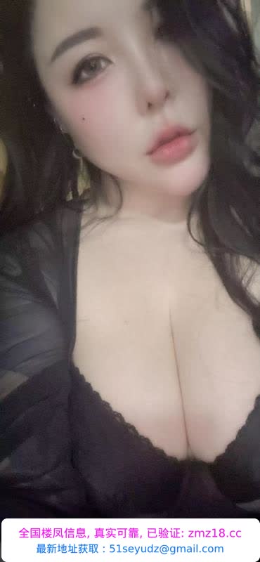 栖霞小野猫