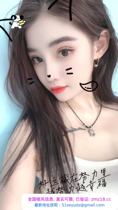 南开全套小家伙