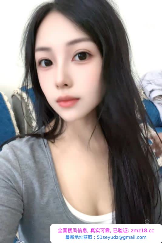 混血新疆小猫咪
