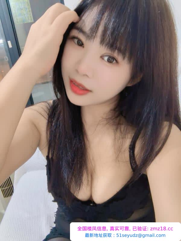 树木岭小狐狸
