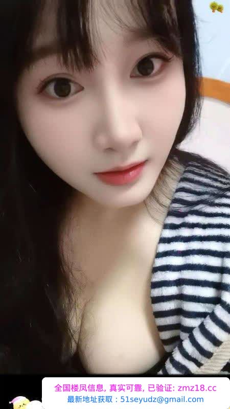 北一环雪儿回来了