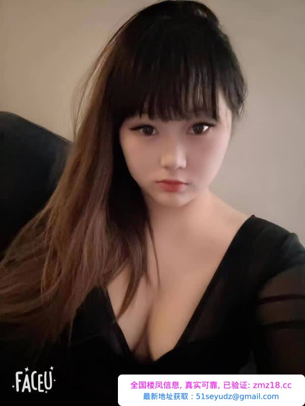 沈阳铁西小可爱