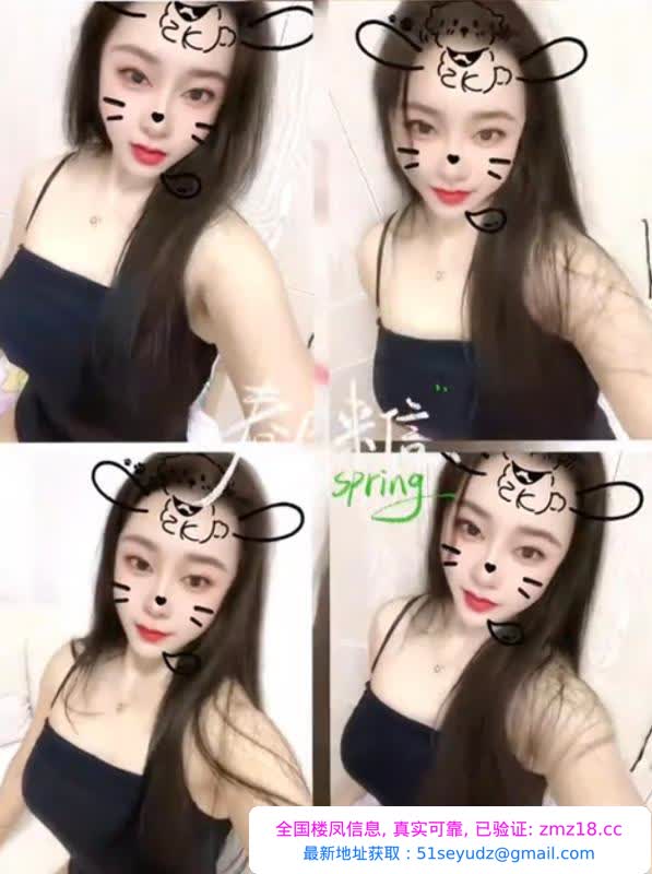 嘉兴林妹莞式项目