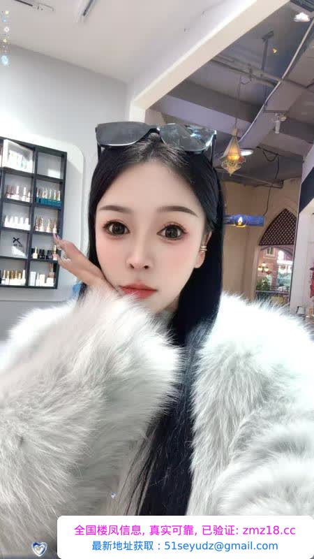 兰州小奶猫回归