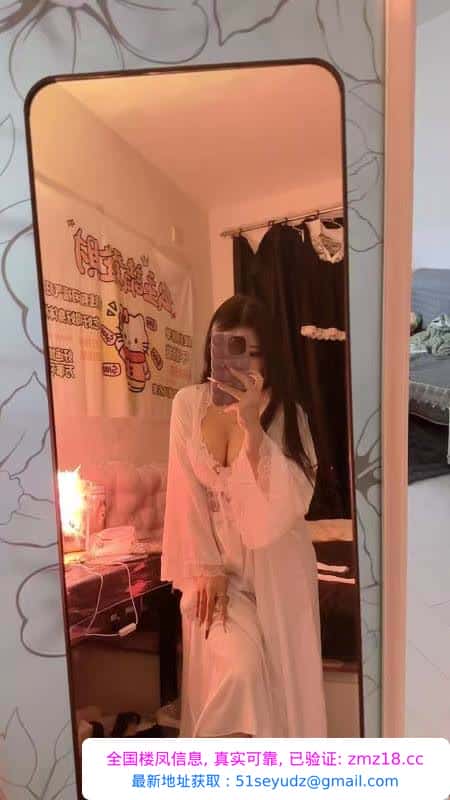 铁西娃娃脸小少妇