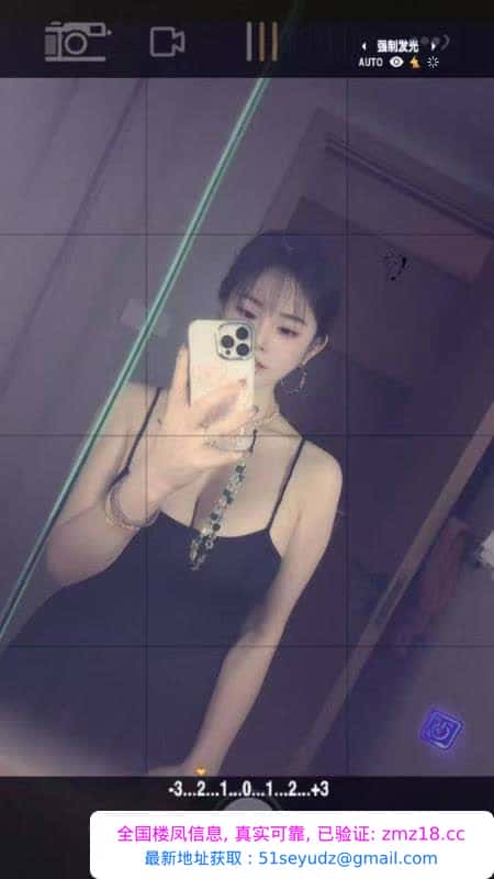 尹山湖骚穴御姐