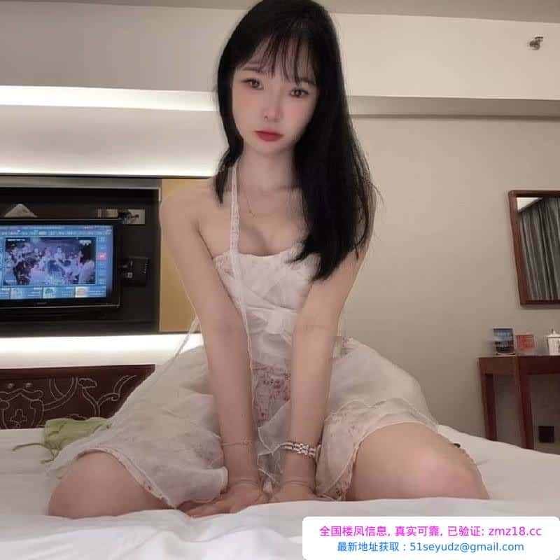 石景山小碟回来啦