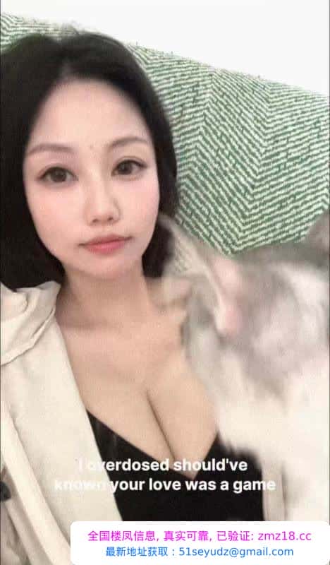 徐汇佛系猫妮