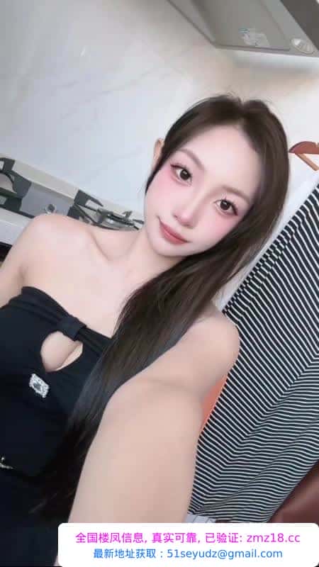 高新小奶熊