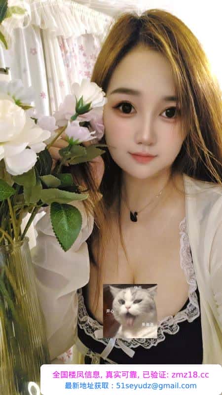 罗湖小影