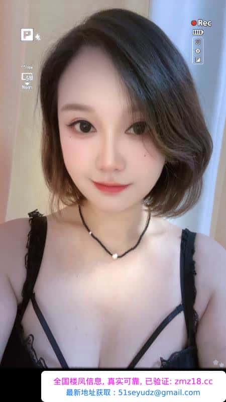 汉阳服务系小野猫