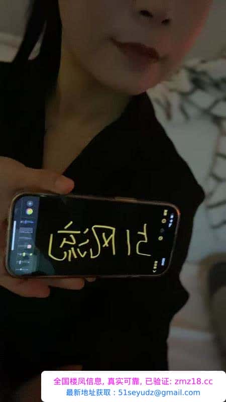 河西美艳少妇