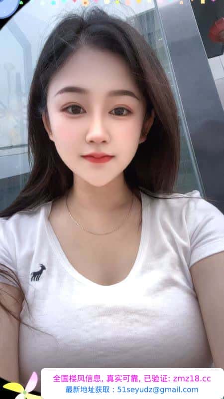 芜湖小野猫