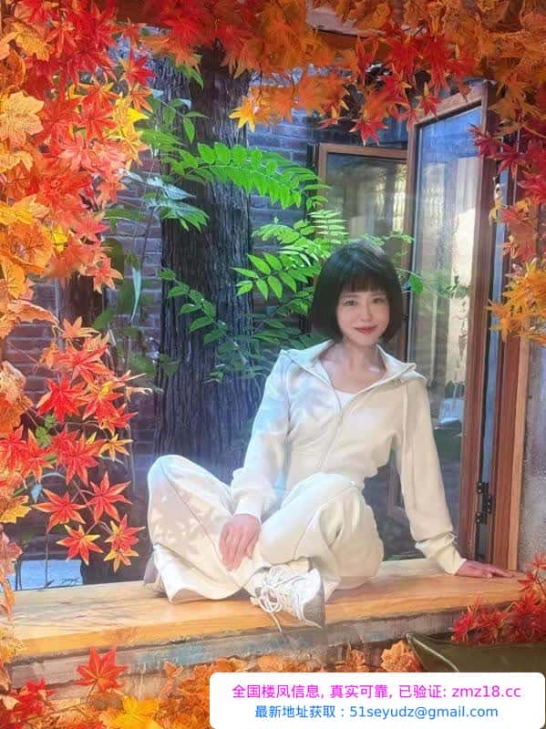 铁西莞式姐姐幽谷