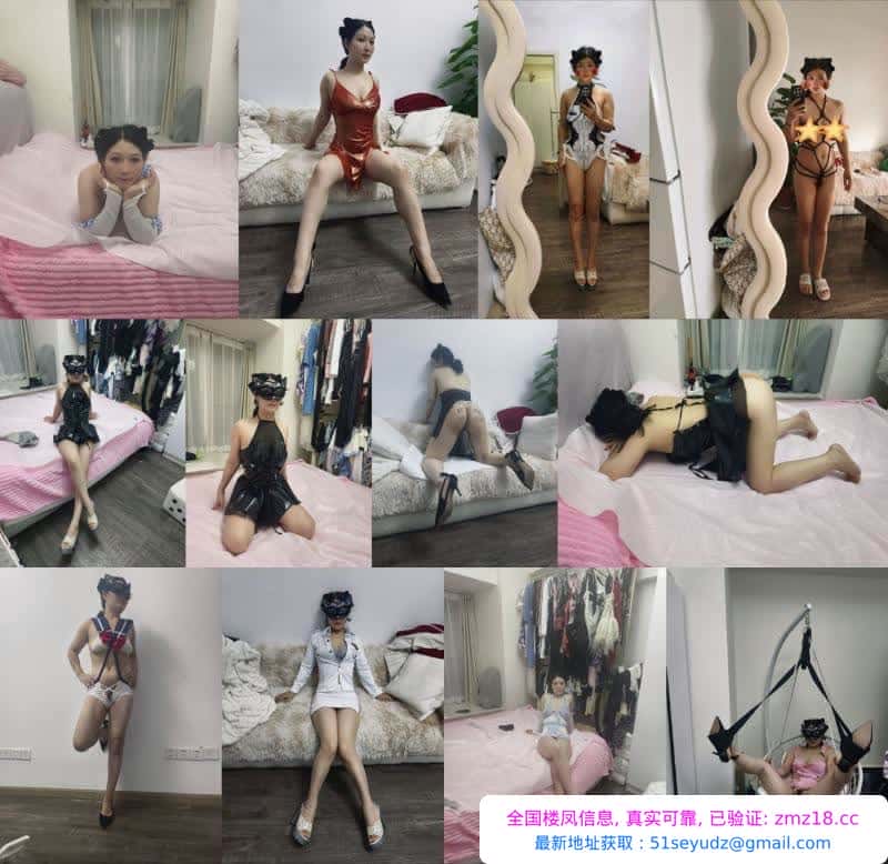 全能猫老师