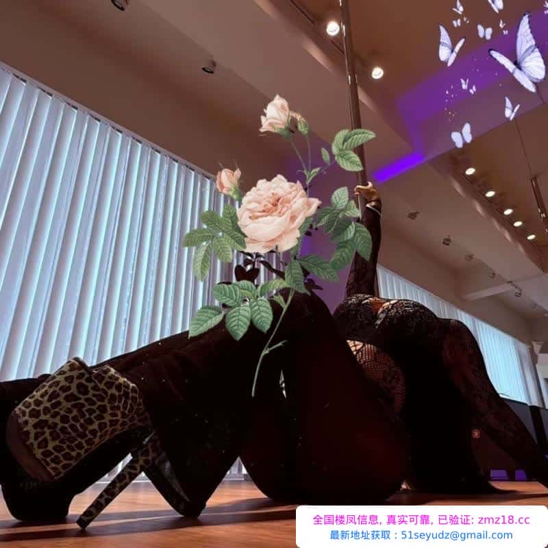 大胸百丽儿