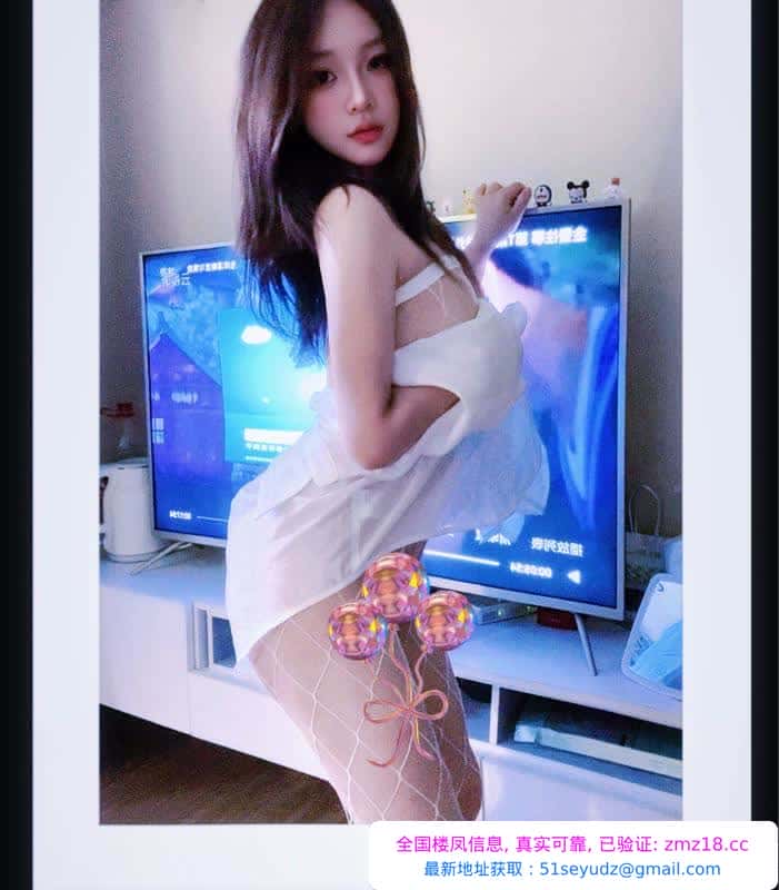 夫子庙小猫咪