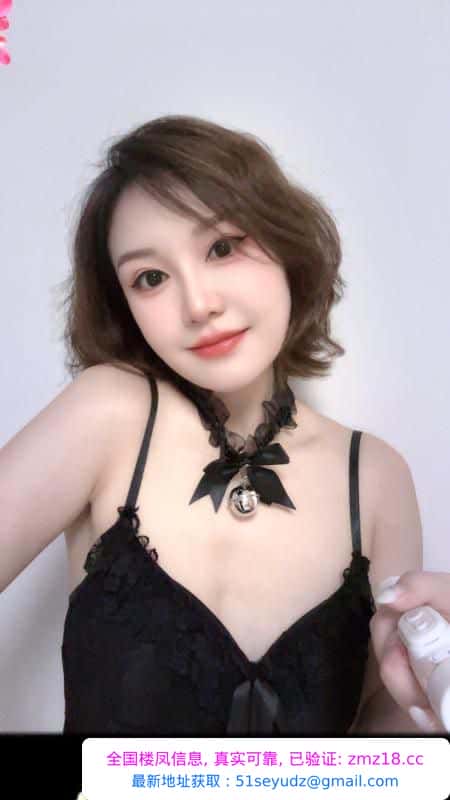 汉阳服务系小野猫