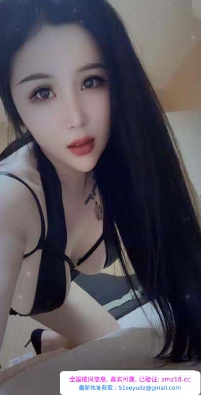 龙岗布吉小狐狸