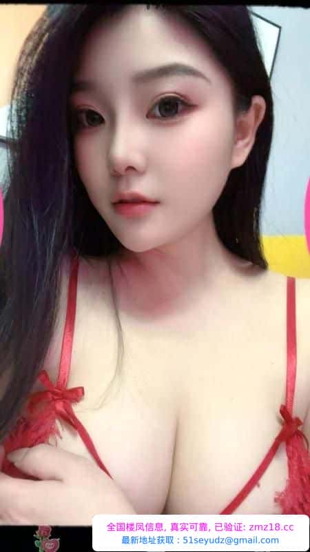 雁塔名师金宝宝