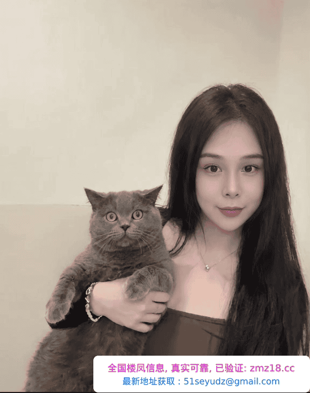罗湖猫妹