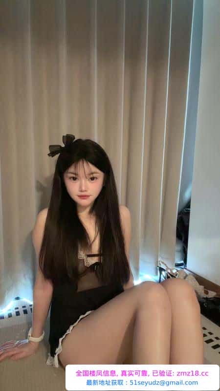 杭州小猫